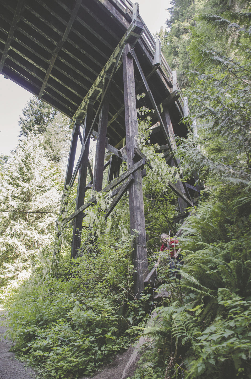 190718.outdoors.hikingcolumn.er3.jpg